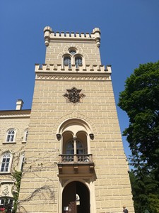 m IMG 20190612 114306