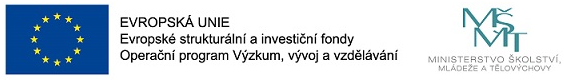EU MSMT